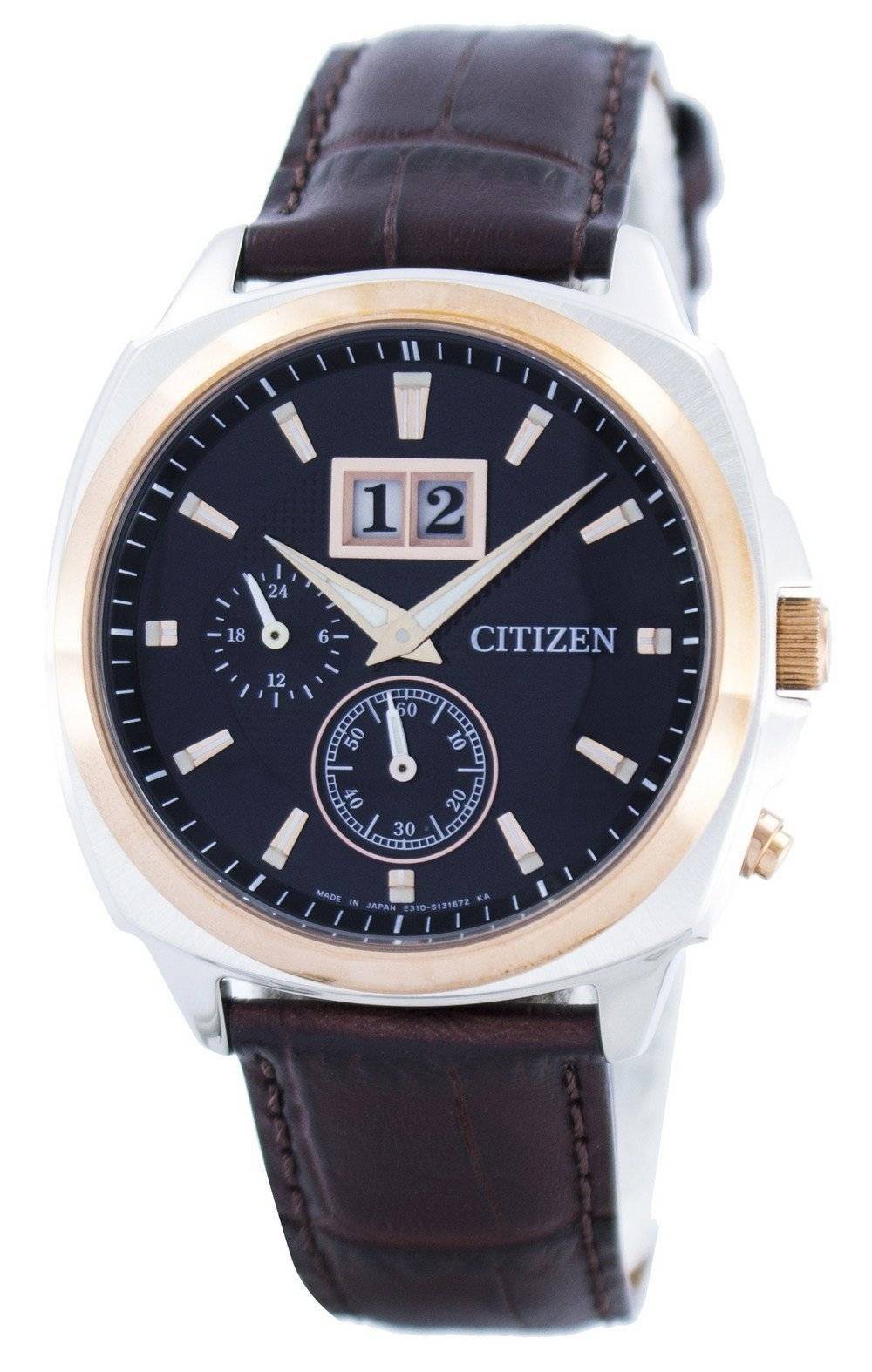 Citizen Eco-Drive Calendrier perpétuel BT0084-07E Montre pour homme