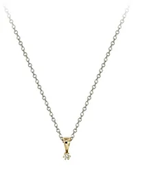 Glow Hanger dia 1-0.03G-SI kleurig* 220.2005.00