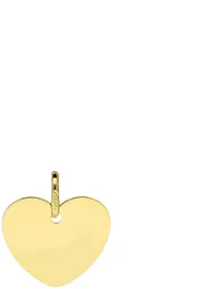 Glow Graveerplaatje Hart 11mm kleurig 242.0002.11